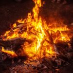 burning wood on brown soil